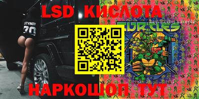 крисы Малгобек