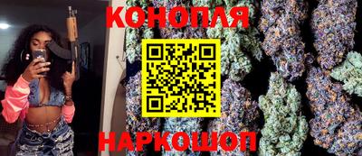 крисы Малгобек