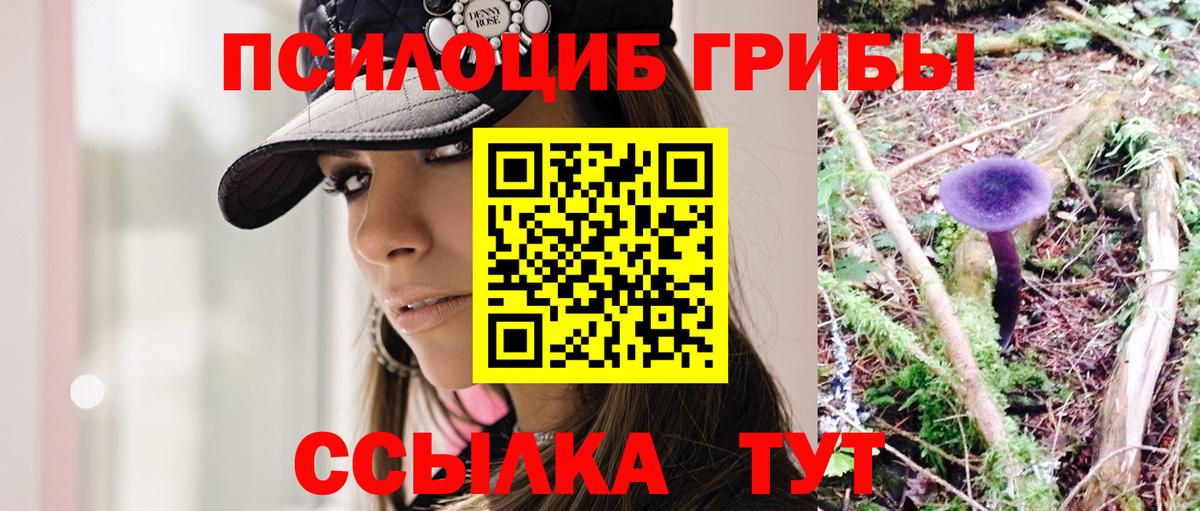 Галлюциногенные грибы Psilocybine cubensis Вязьма