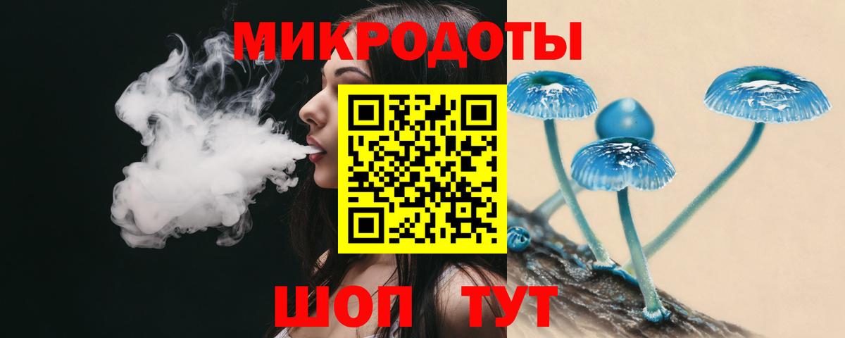 Вязьма  Галлюциногенные грибы Psilocybine cubensis  Вход с VPN 